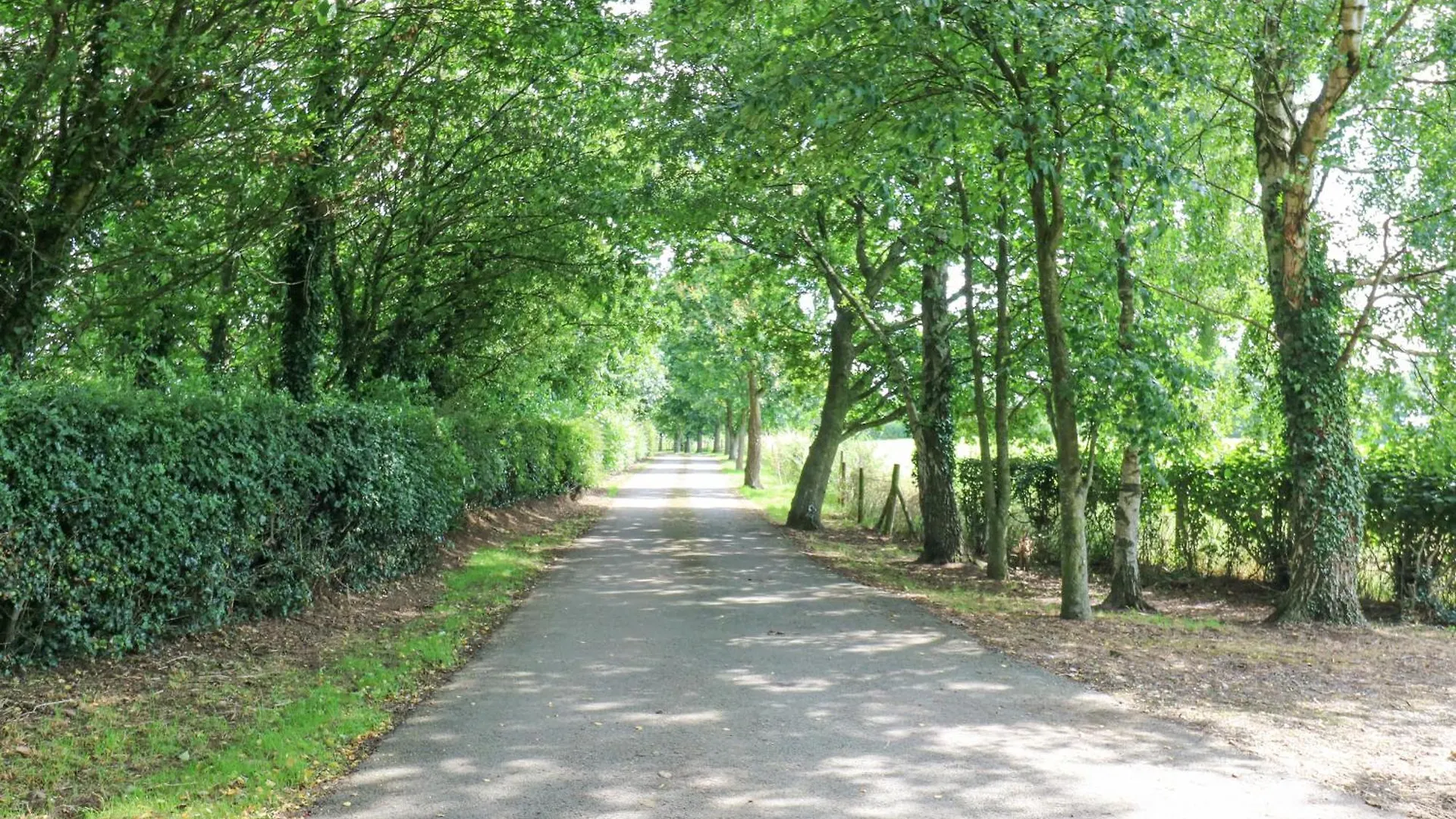 Summer Farm Cottage Bedale Vakantiehuis